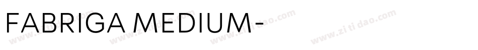 FABRIGA MEDIUM字体转换